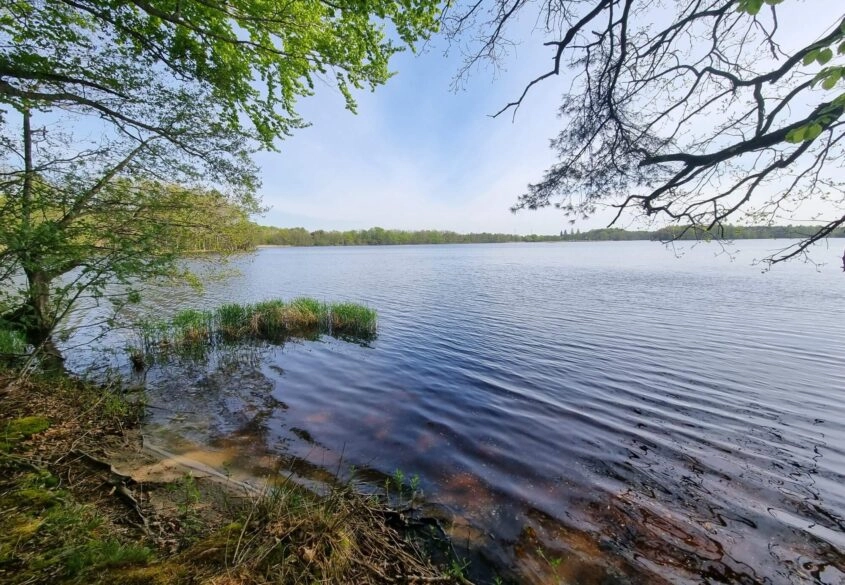Działka z linią brzegową nad jeziora Salinko
