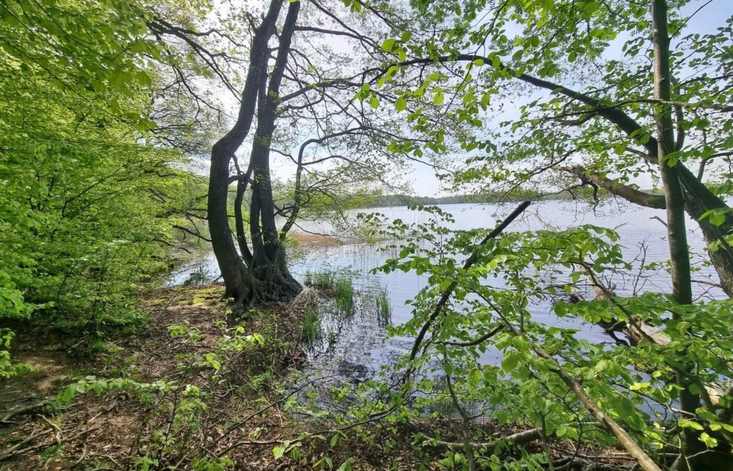 Działka z linią brzegową nad jeziora Salinko