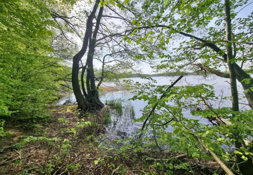 Działka z linią brzegową nad jeziora Salinko