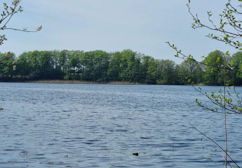 Działka z linią brzegową nad jeziora Salinko