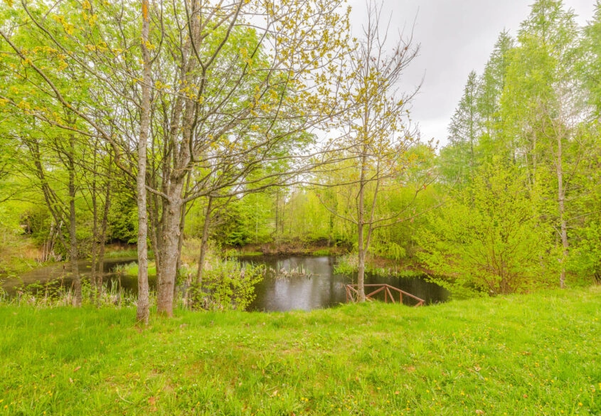 prywatny staw i las | 200 m lini brzegowej
