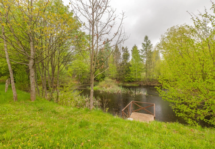 prywatny staw i las | 200 m lini brzegowej