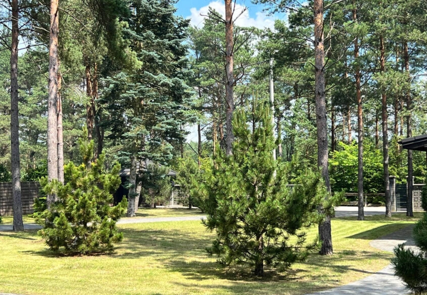Dwa domy na działce 1823 m² – gotowa inwestycja