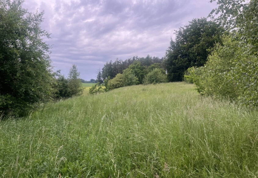 Działka na Kaszubach Goręczyno
