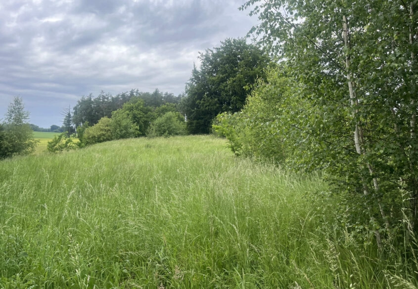 Działka na Kaszubach Goręczyno