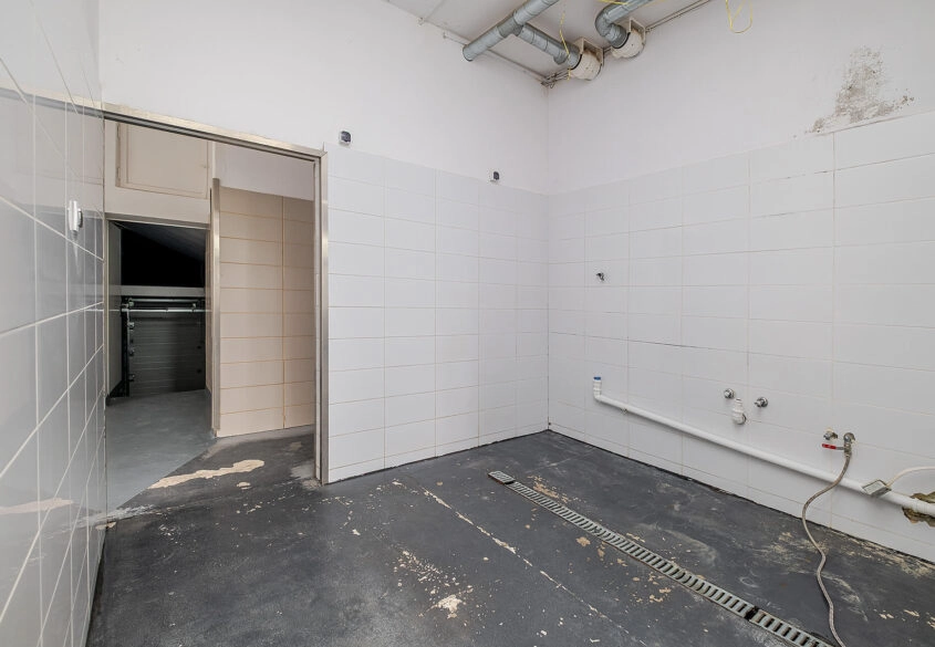 Pow. mieszkalna 350m2 + Pow. produkcyjna 250m2