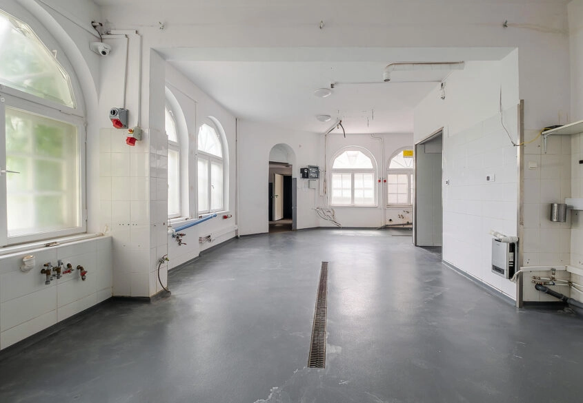 Pow. mieszkalna 350m2 + Pow. produkcyjna 250m2