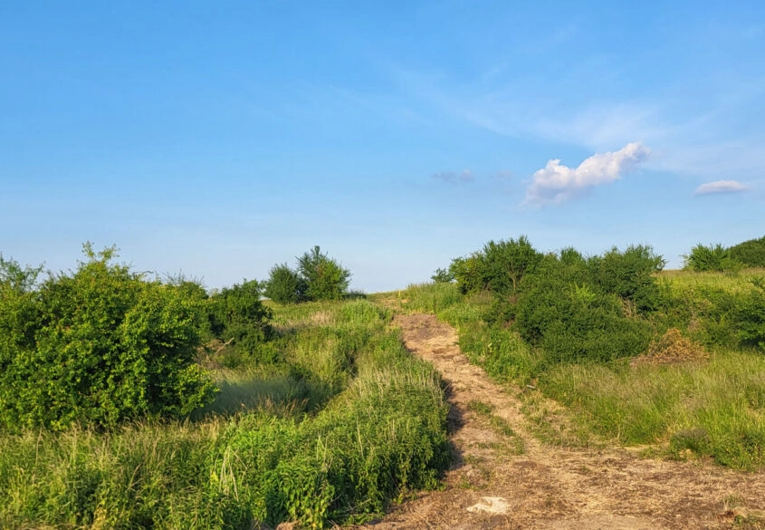 Działki mieszkaniowe 19 km od Gdańska w Bielkówku