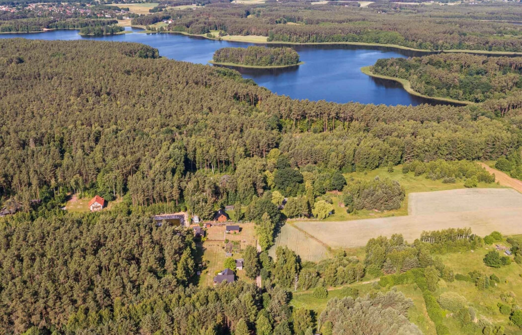 1,5 ha Bory Tucholskie! Dom całoroczny + 2 domki!