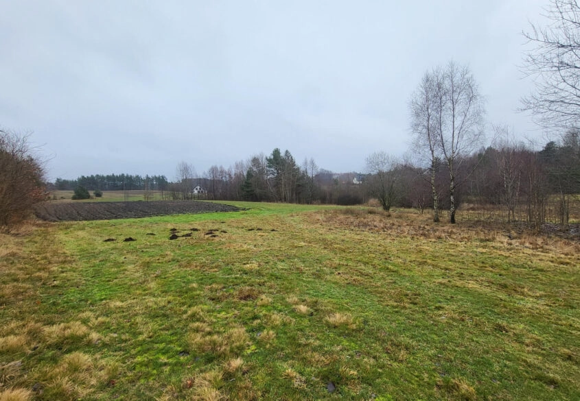 Duża działka ok. 1,2 ha, wydane WZ na 10 domów
