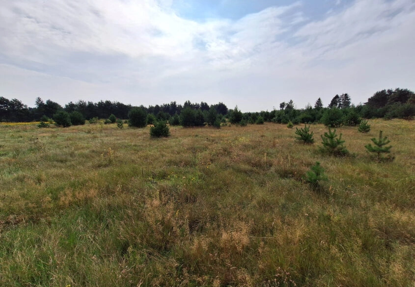 Działka Inwest. / mieszk. Gd. Osowa ul Myśliborska