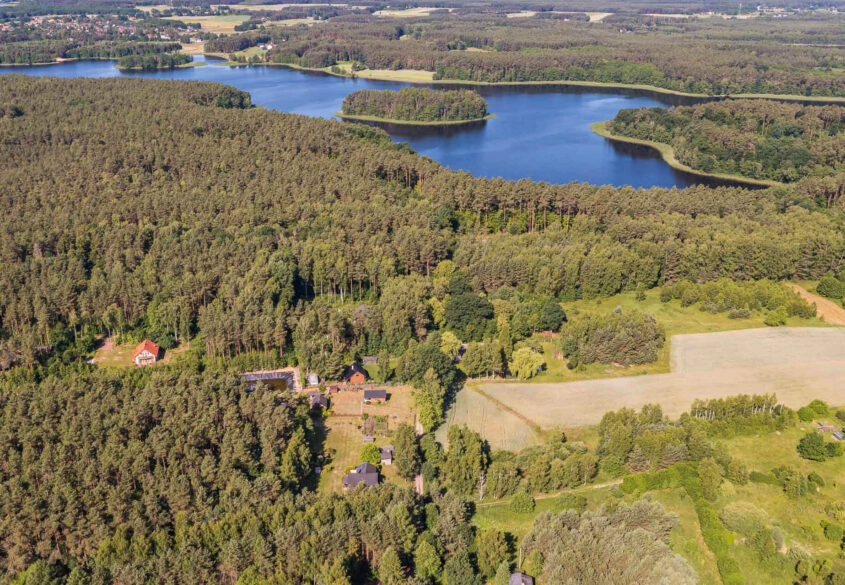 1,5 ha Bory Tucholskie! Dom całoroczny + 2 domki!