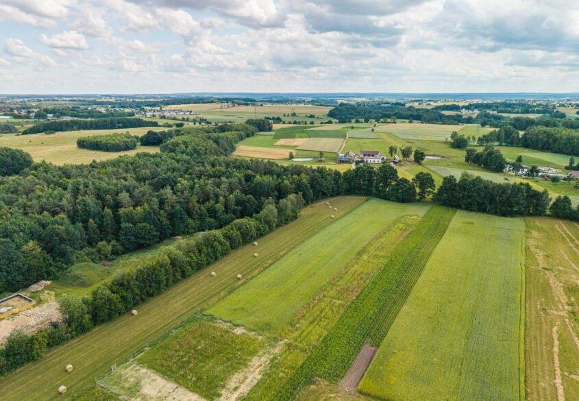 Woda | Wydane warunki zabudowy | Prostokątna