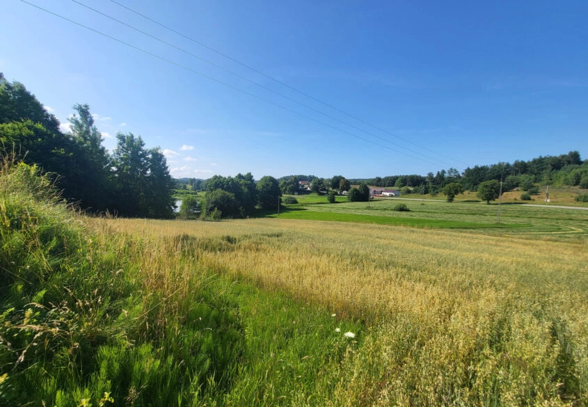 Ponad 3,1 ha w Kielnie | MPZP | piękne tereny