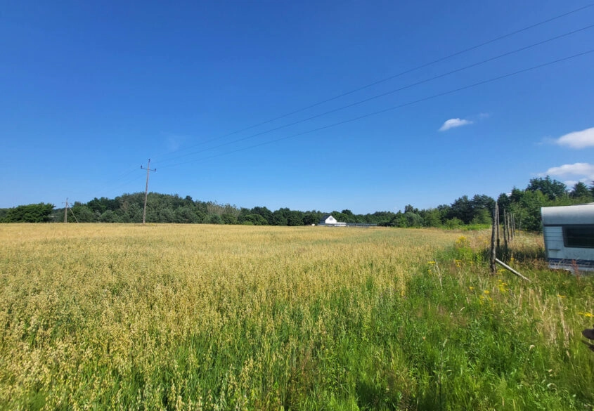 Ponad 3,1 ha w Kielnie | MPZP | piękne tereny