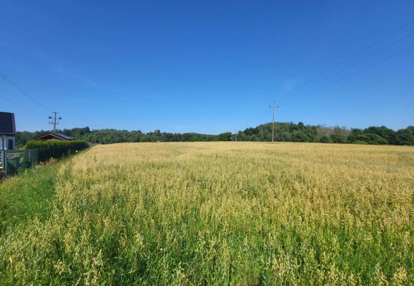Ponad 3,1 ha w Kielnie | MPZP | piękne tereny