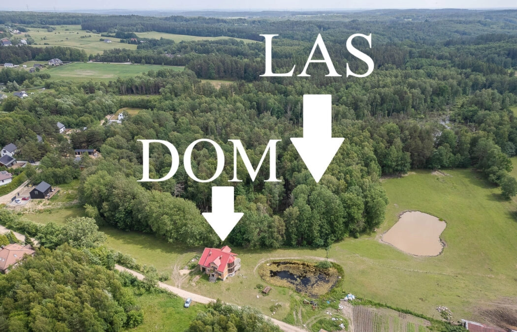 Dom ze Stawem- działka 5003m2 + 2,6ha lasu!