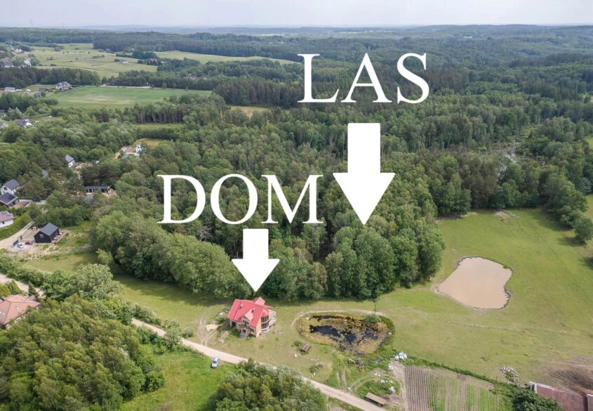 Dom ze Stawem- działka 5003m2 + 2,6ha lasu!