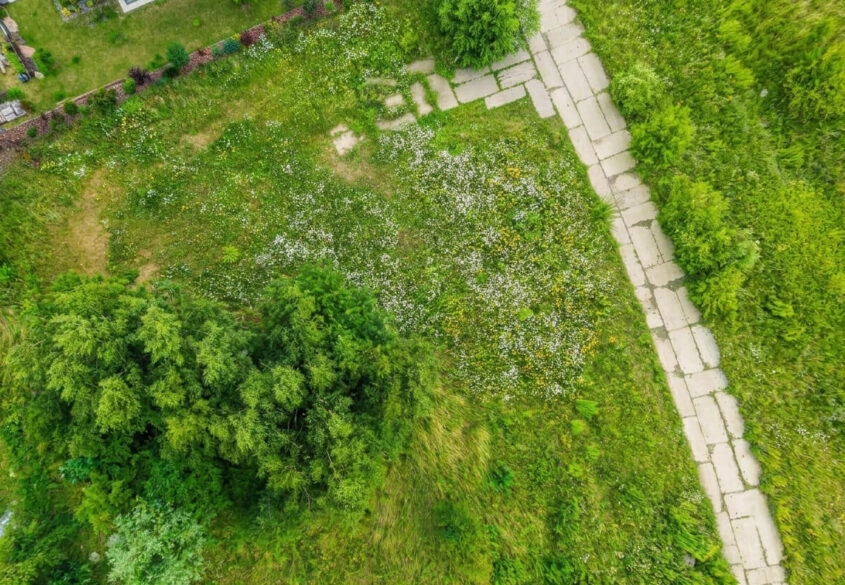 Płaska, słoneczny ogród, w pobliżu las i jezioro!
