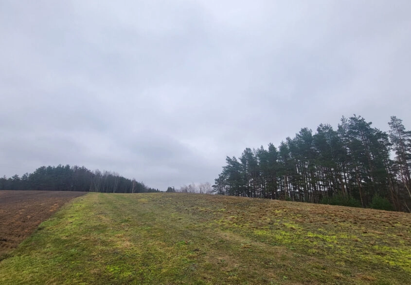 Duża działka, wydane WZ na 5 domów jednorodzinnych