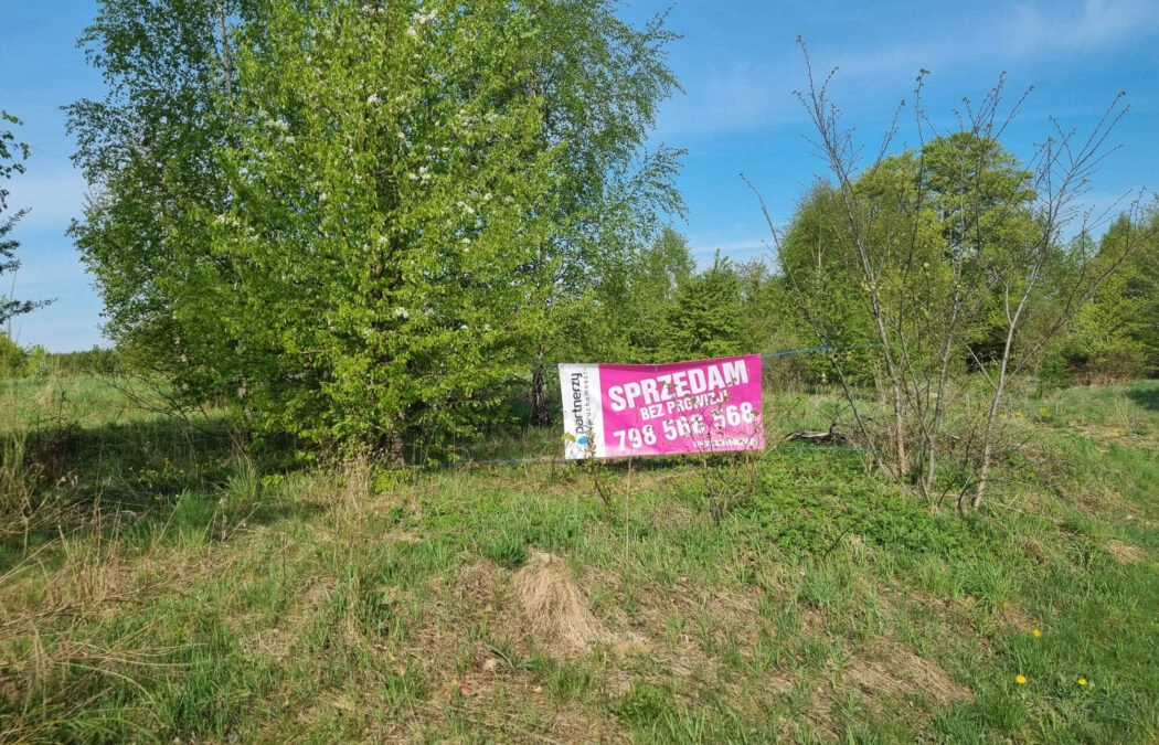 DZIAŁKA NAD JEZIOREM SALINKO
