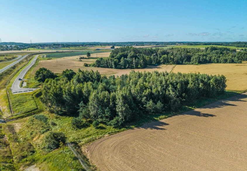 Działka Przyjaźń