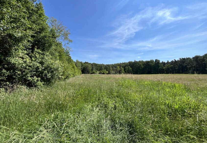 Działka 2,8ha Karwieńskie Błoto zabudowa zagrodowa