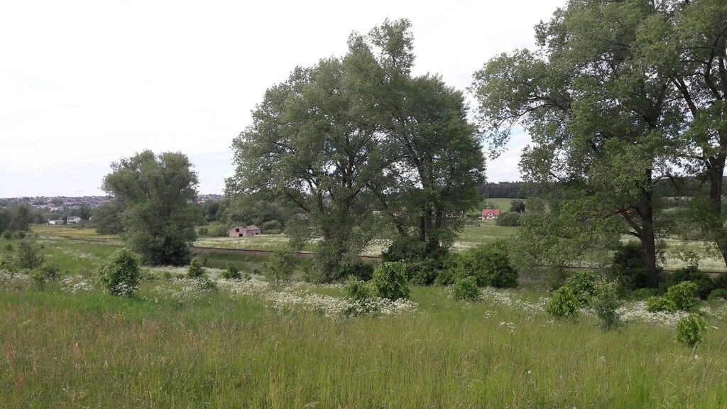 Działka 3100 m² w Otominie – MPZP