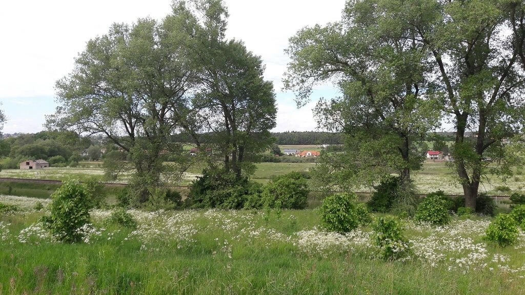 Działka 3100 m² w Otominie – MPZP