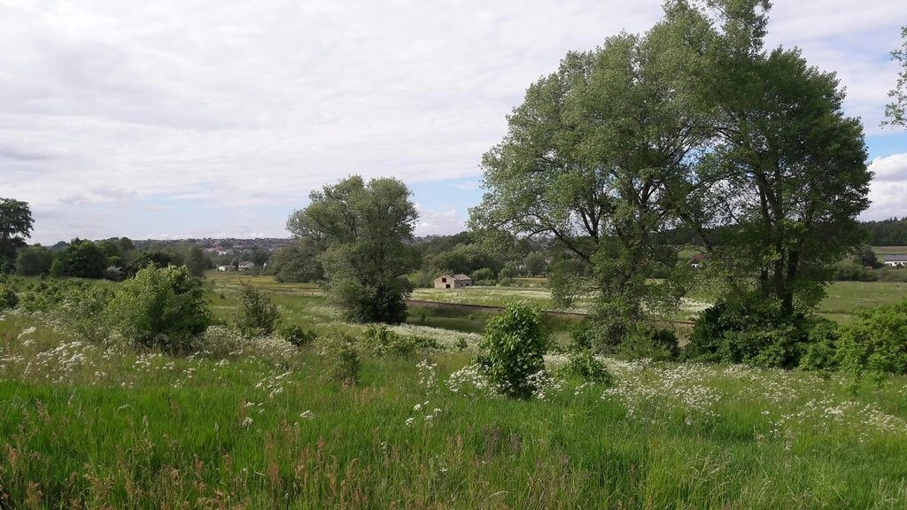 Działka 3100 m² w Otominie – MPZP