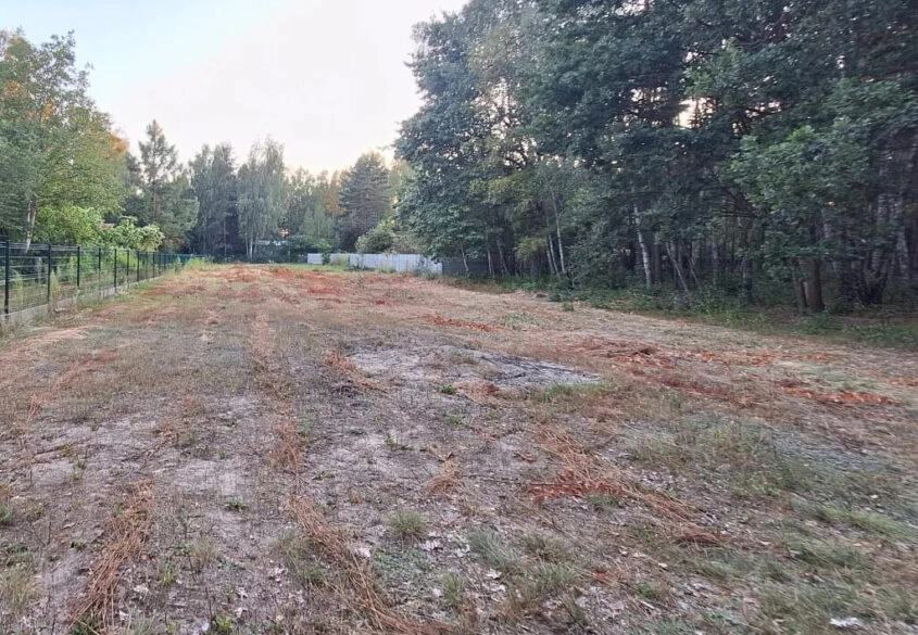 Duża działka 30 km od Warszawy z prywatnym lasem