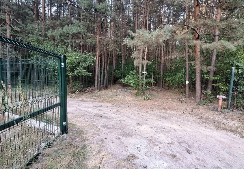 Duża działka 30 km od Warszawy z prywatnym lasem