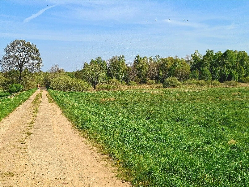 Dzałki w Mierzynie