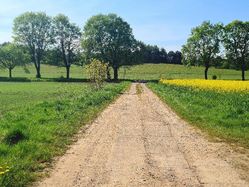 Dzałki w Mierzynie