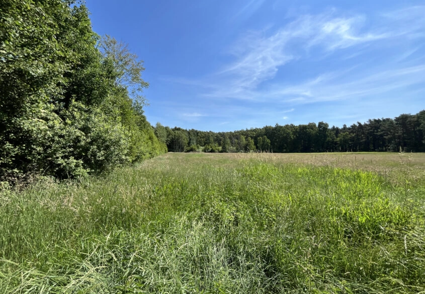 Działka 2,8ha Karwieńskie Błoto zabudowa zagrodowa