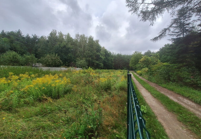 Duża działka 30 km od Warszawy z prywatnym lasem