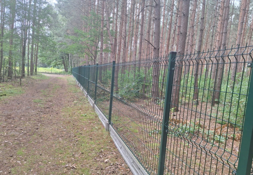 Duża działka 30 km od Warszawy z prywatnym lasem