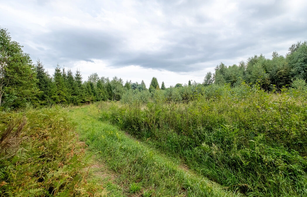 Działki ok. 1000 m² | Domatowo | Spokojna lokaliza