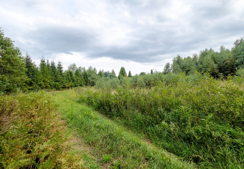 Działki ok. 1000 m² | Domatowo | Spokojna lokaliza