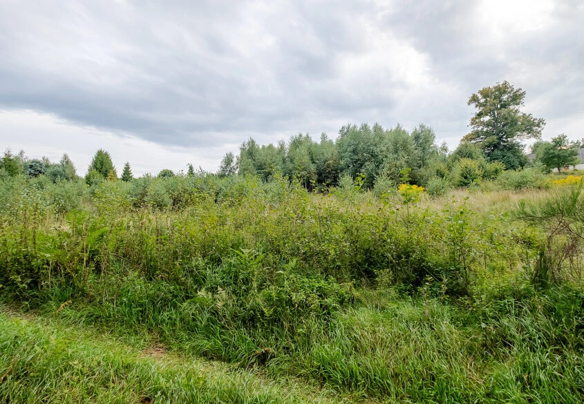 Działki ok. 1000 m² | Domatowo | Spokojna lokaliza