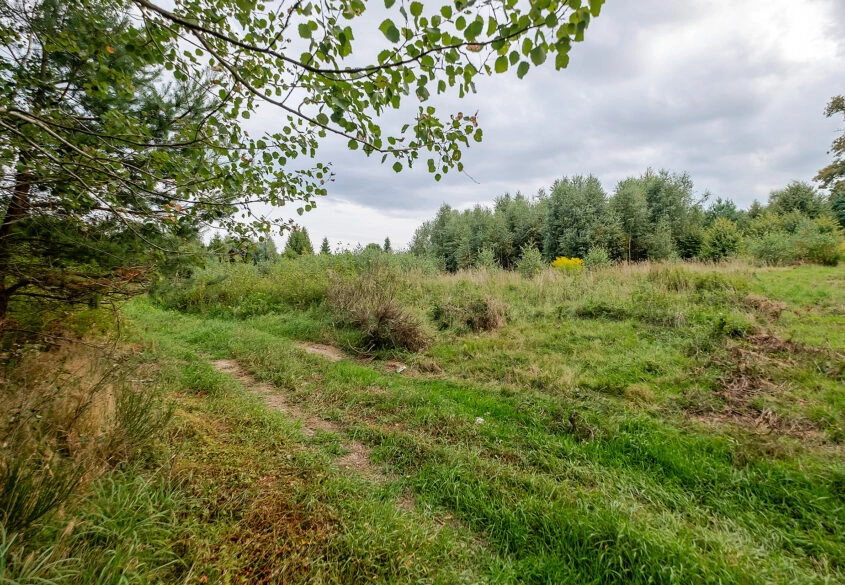 Działki ok. 1000 m² | Domatowo | Spokojna lokaliza