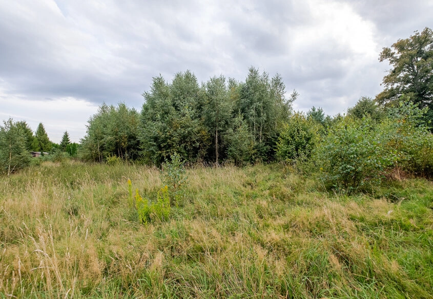 Działki ok. 1000 m² | Domatowo | Spokojna lokaliza