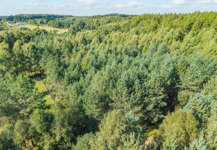 Działka siedliskowa | Kaszuby | Prąd i woda obok
