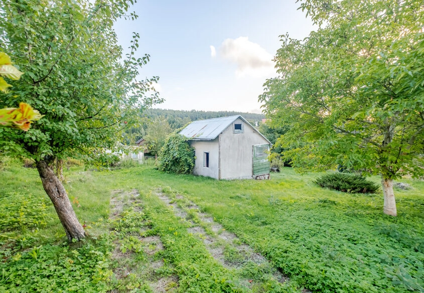 Rolna I 536 m2 I 350 m do jeziora Przywidz
