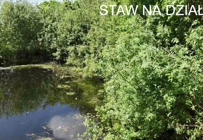 Działka mieszkaniowa z WZ oraz małym stawem