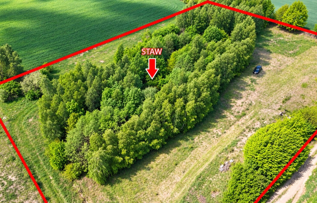 Działka mieszkaniowa z  WZ oraz małym stawem