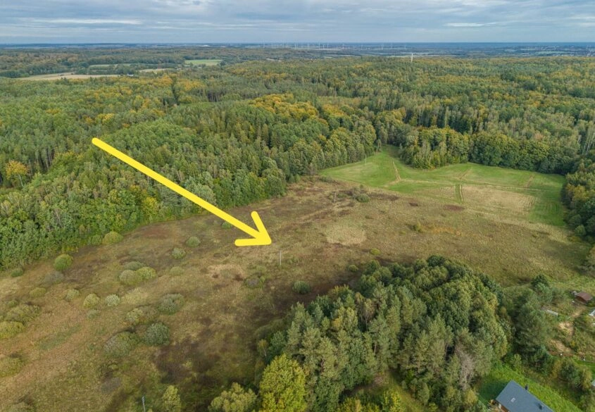 Prąd Woda Gaz Kanalizacja | Warunki zabudowy | Las