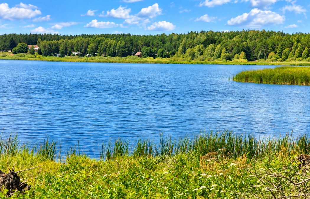 Działka z linią brzegową jeziora KRĄG