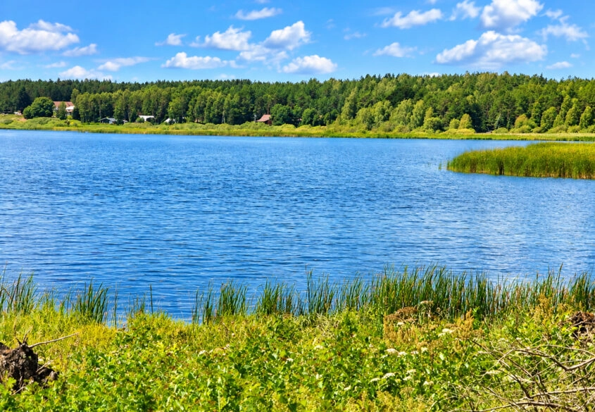 Działka z linią brzegową jeziora KRĄG