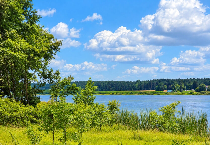 Działka z linią brzegową jeziora KRĄG